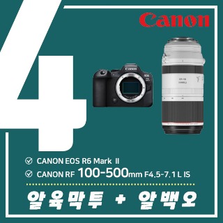 4. CANON  R6 Mark Ⅱ + CANON RF 100-500mm F4.5-7.1 L IS
