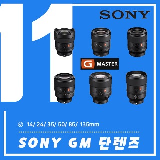SONY G-MASTER 단렌즈 6 SET